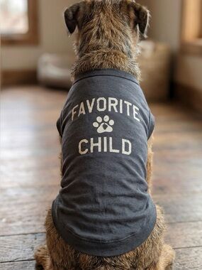 Grayson Pup (2) “Favorite Child" Dog T-Shirt M (14-16”) Charcoal Gray